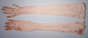 Ladies Long Silk Gloves