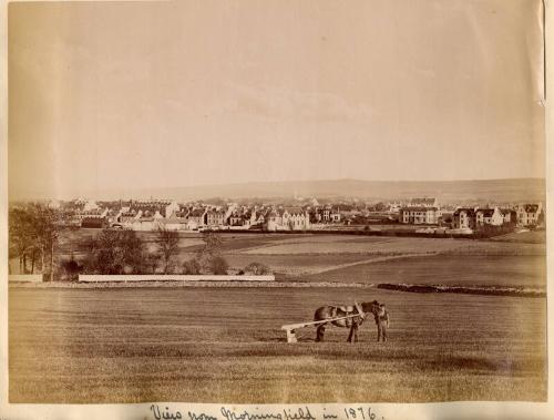 View From Morningfield