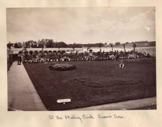 Skating Rink Queens Cross
