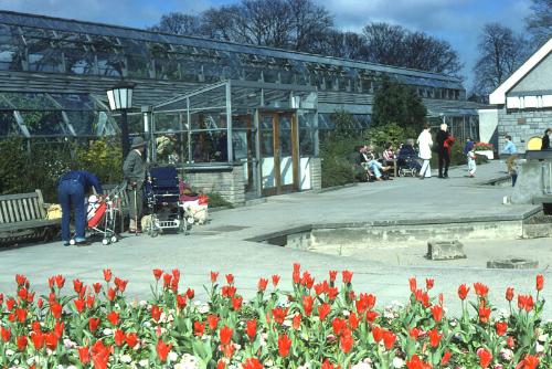 Duthie Park Winter Gardens