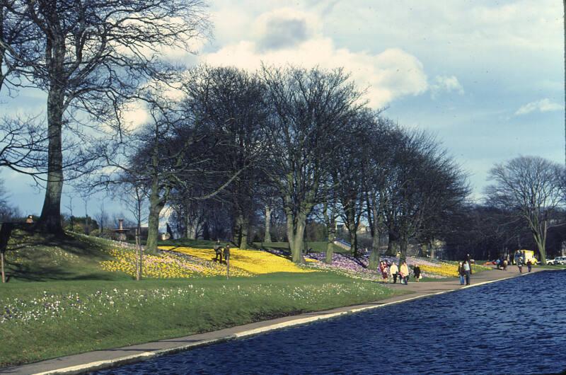 Floral Display at the Duthie Park