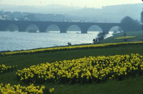 Old Bridge of Dee