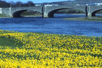 George VI Bridge of Dee