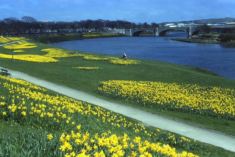 George VI Bridge