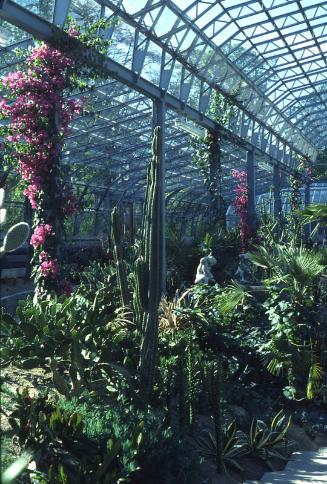 Winter Gardens Duthie Park