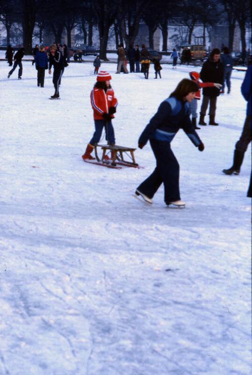 Snow in Duthe Park