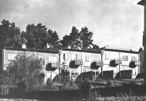 Housing and Back Gardens