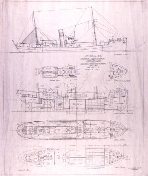 Aristea (733), Crassula (734) - General Arrangment