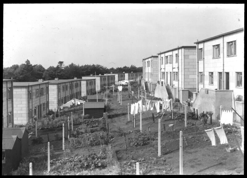 Housing and Back Gardens