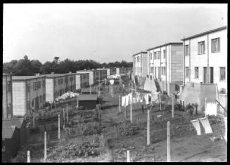 Housing and Back Gardens