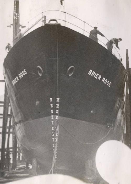 The launch of the coaster Brier Rose – Works – eMuseum