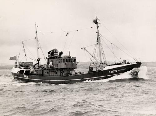 Photograph showing the trawler Summerlee
