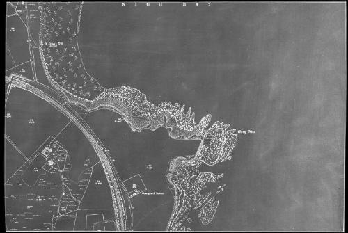 O.S. Map -  Copy of Section Bay of Nigg Area