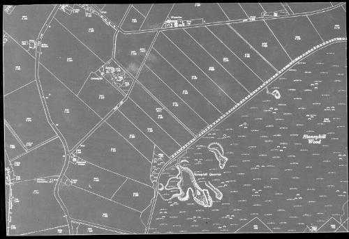 O.S. Map -  Copy of Section Nigg Area