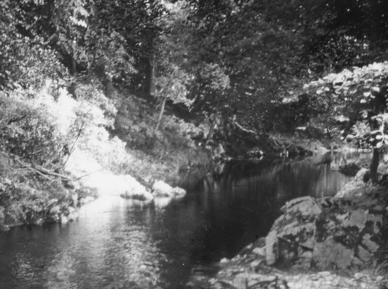 The Cowie Burn, Stonehaven