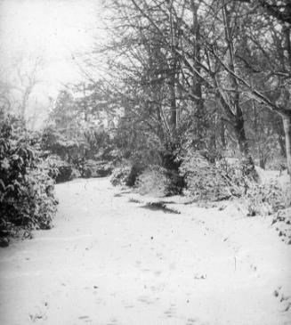 Foot Prints in Snow