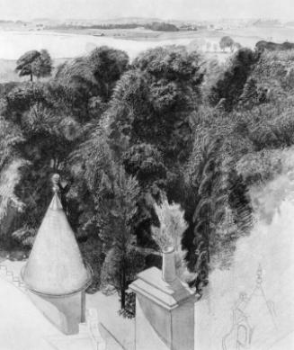 Trees & Turrets by James Cowie