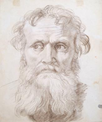 Study Of Head Of An Old Man by William Dyce