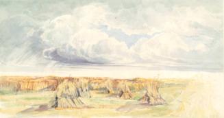 Cornfield with Stormy Sky