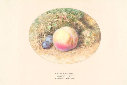 A Peach and Grapes