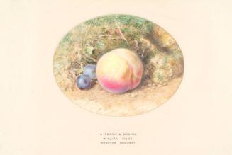 A Peach and Grapes