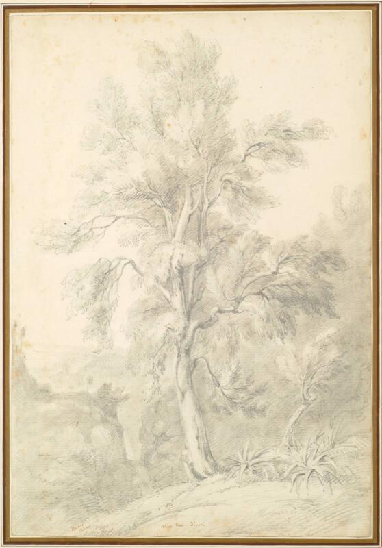 Olive Tree, Tivoli – Works – eMuseum