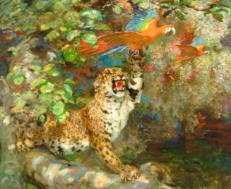 A Jaguar and Macaws (or 'Just Missed' or 'On The Banks of The Orinoco)