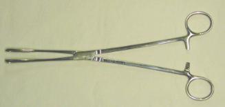 Sponge Hoding Forceps