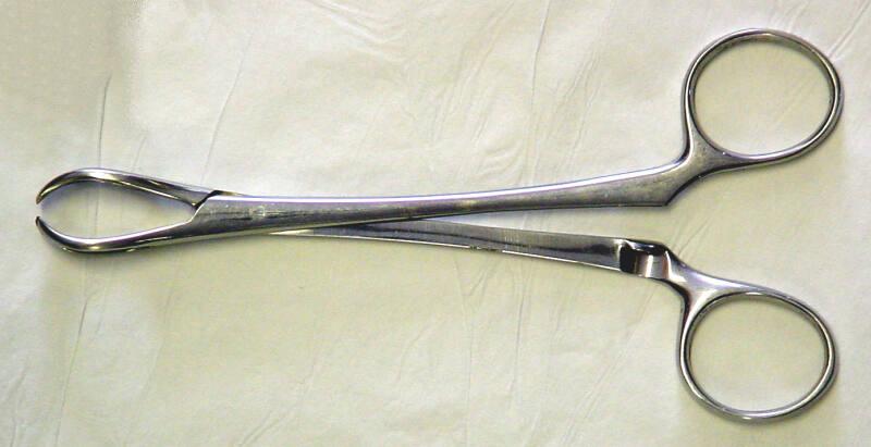 Towel Holding Or Tissue Forceps