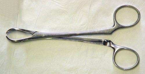 Towel Holding Or Tissue Forceps