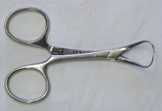 Backhaus Towel Holding Forceps (Large) 4