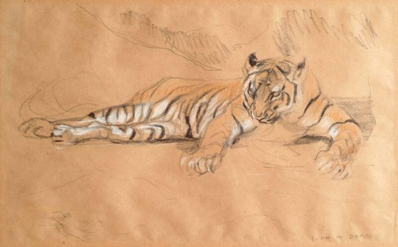 A Tiger Waiting