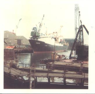 Colour photograph showing the freezer stern trawler 'Protea' built by Hall Russell in 1970