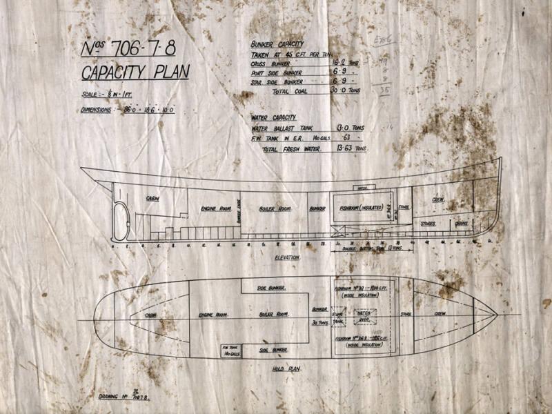 Freesia (706), Gertrude W (707), Rochea (708) - Capacity Plan