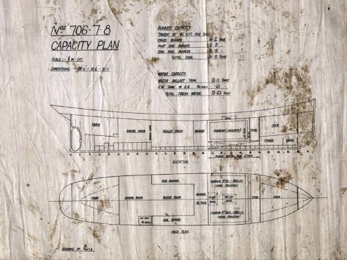 Freesia (706), Gertrude W (707), Rochea (708) - Capacity Plan