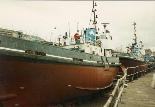 Colour photograph showing the harbour tugs 'Sea Trojan' and 'Sea Griffon' In dry dock, after sa…