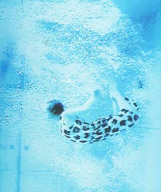 After Muybridge
by Susannah Silver
2002