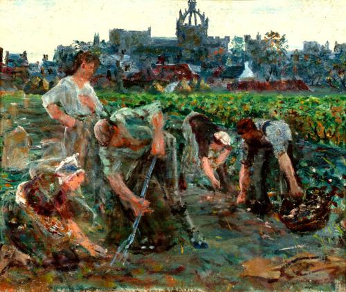 Potato Diggers, Kings College