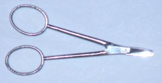 Small Pair Of Scissors