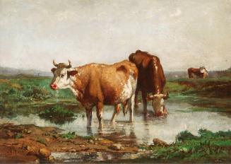 Landscape with Cows
