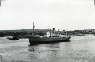 Black & white photograph of 'Bruin'