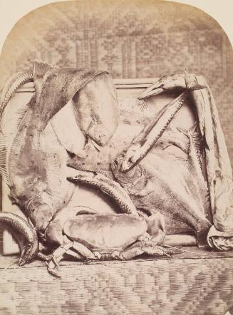 The Catch, Perthshire, from an album compiled by Sir John Everett Millais