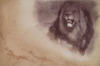 Photograph of 'A Study of Landseer's Lions' by Millais, from an album compiled by Sir John Everett Millais