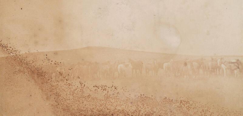 Landscape with Horses, South Africa, from an album compiled by Sir John Everett Millais