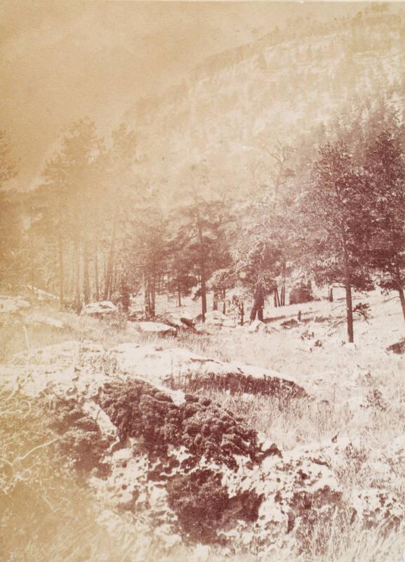 Wooded Landscape, South Africa, from an album compiled by Sir John Everett Millais