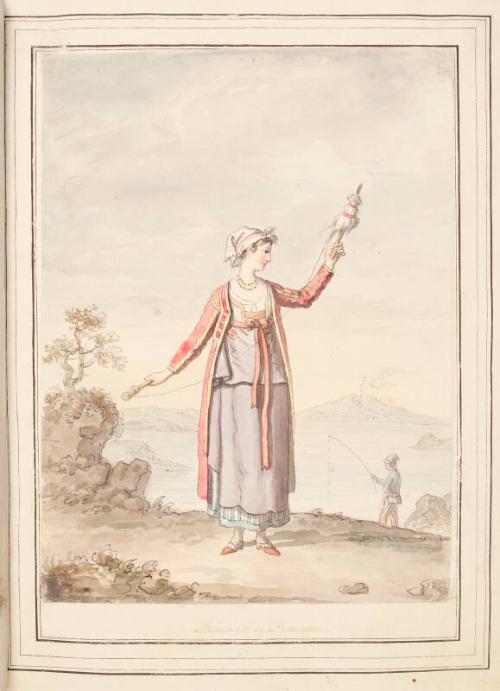 Spinner of Procida , leaf from 'A Collection of Dresses by David Allan Mostly from Nature'