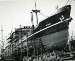 Black and White Photograph in album of cargo vessel 'Hydra'