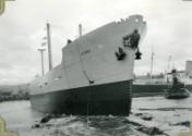 Photograph of steam Baltic timber carrier 'Binna'