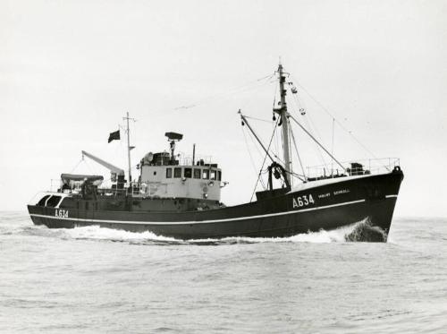 Photograph showing the trawler Mount Sorrell