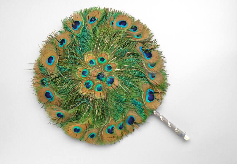 Peacock Feather Fan